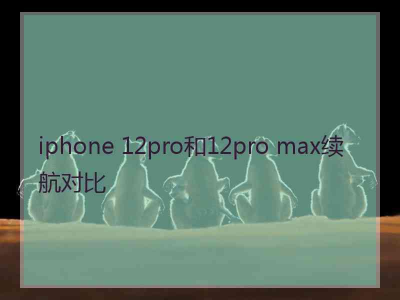 iphone 12pro和12pro max续航对比