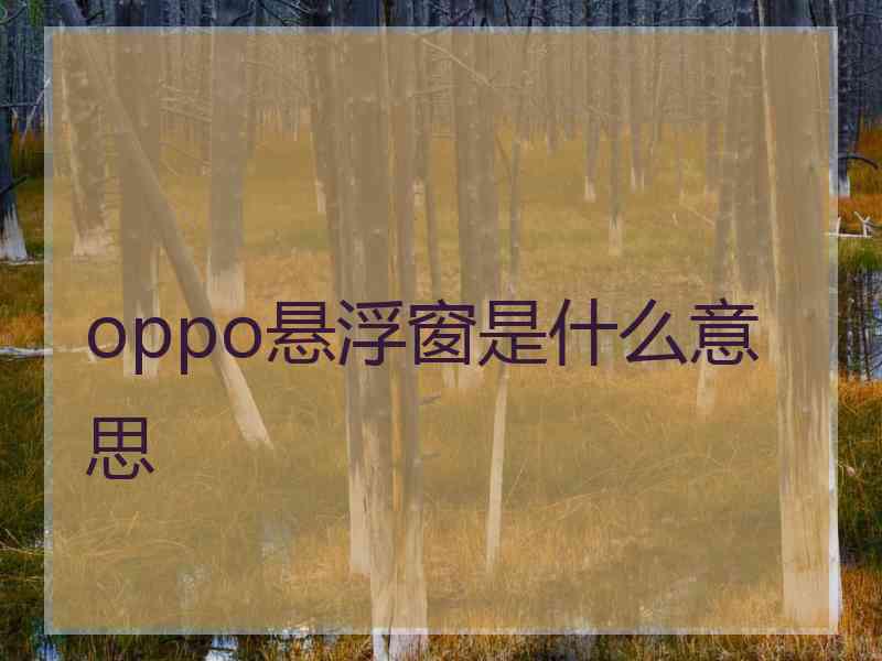 oppo悬浮窗是什么意思