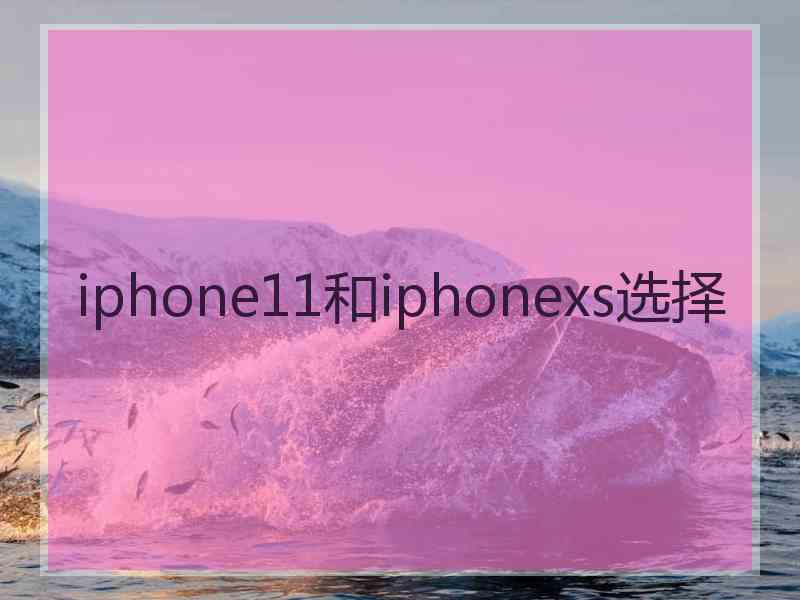 iphone11和iphonexs选择