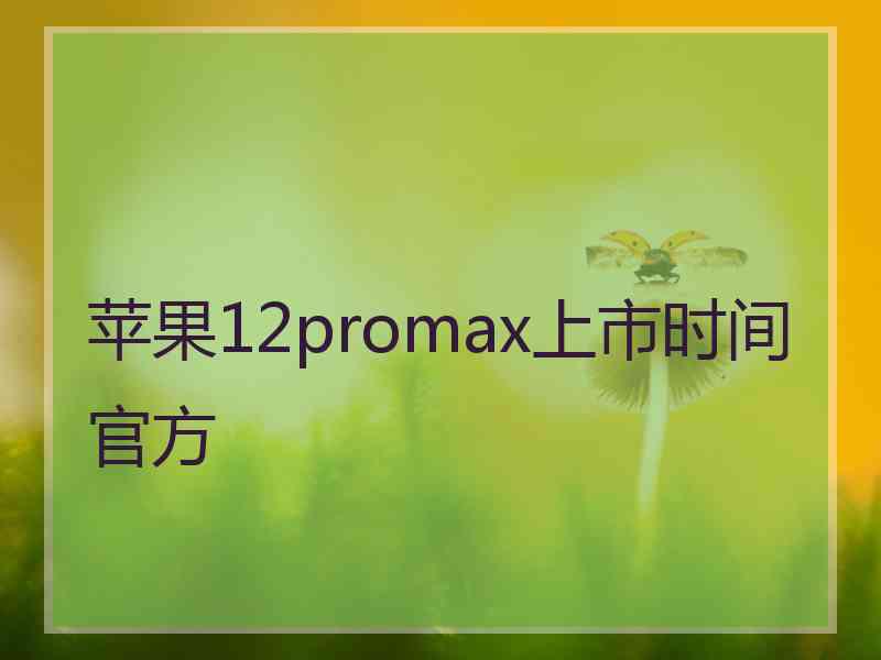 苹果12promax上市时间官方