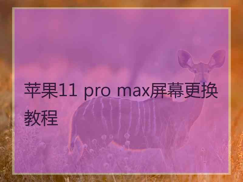 苹果11 pro max屏幕更换教程