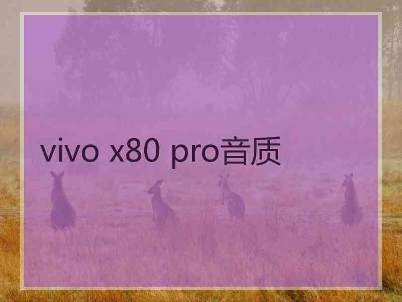 vivo x80 pro音质