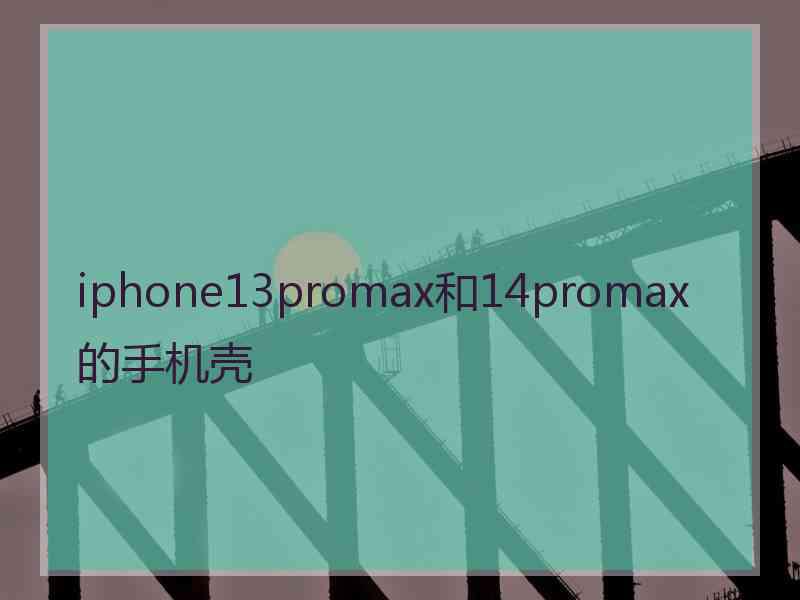 iphone13promax和14promax的手机壳