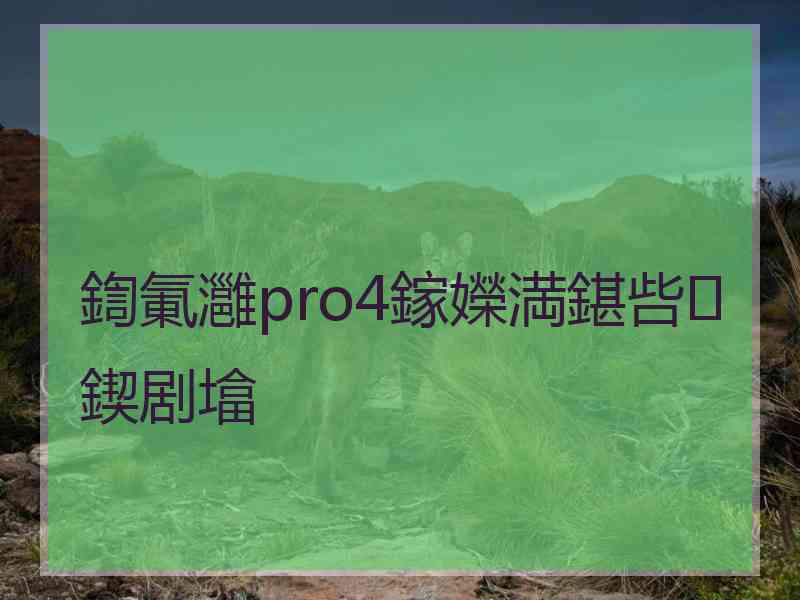 鍧氭灉pro4鎵嬫満鍖呰鍥剧墖