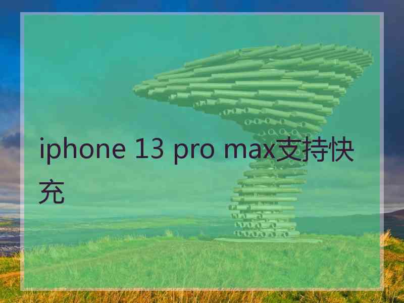 iphone 13 pro max支持快充