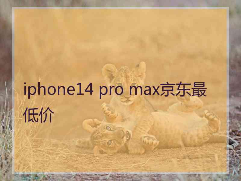 iphone14 pro max京东最低价