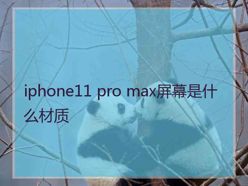 iphone11 pro max屏幕是什么材质