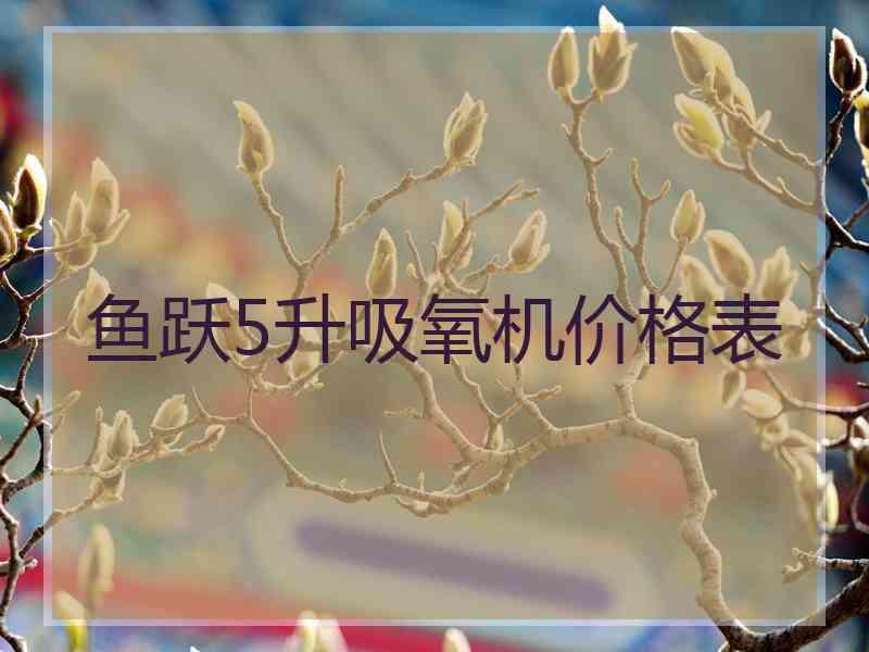 鱼跃5升吸氧机价格表