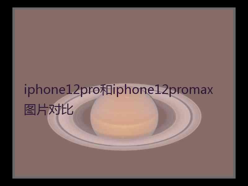 iphone12pro和iphone12promax图片对比