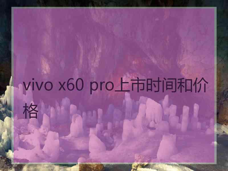 vivo x60 pro上市时间和价格