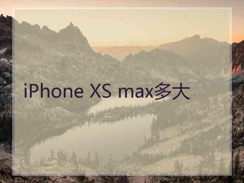 iPhone XS max多大