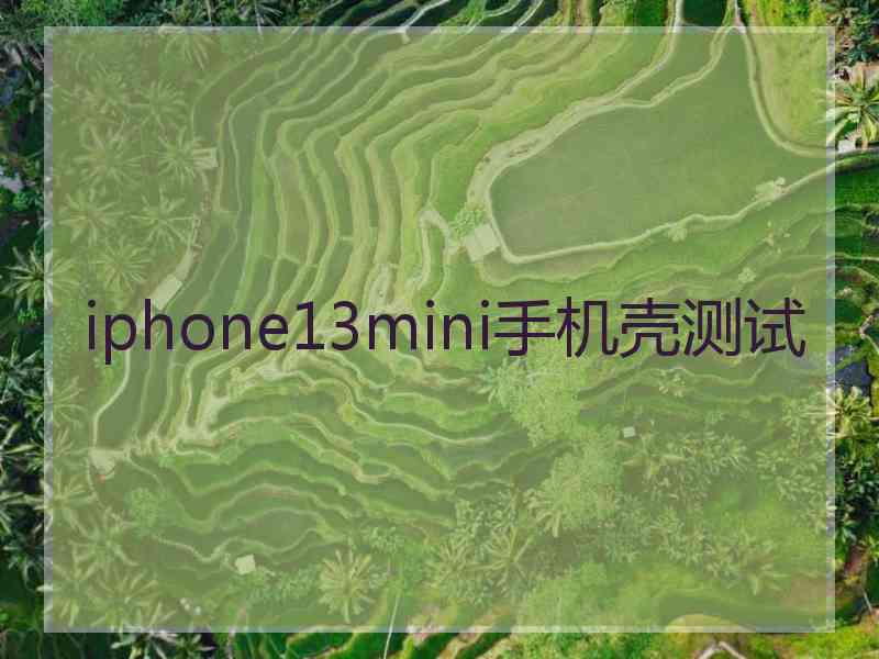 iphone13mini手机壳测试