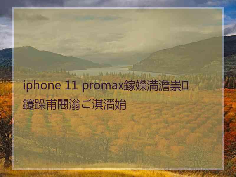 iphone 11 promax鎵嬫満澹崇鑳跺甫闀滃ご淇濇姢