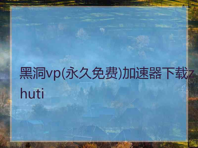 黑洞vp(永久免费)加速器下载zhuti