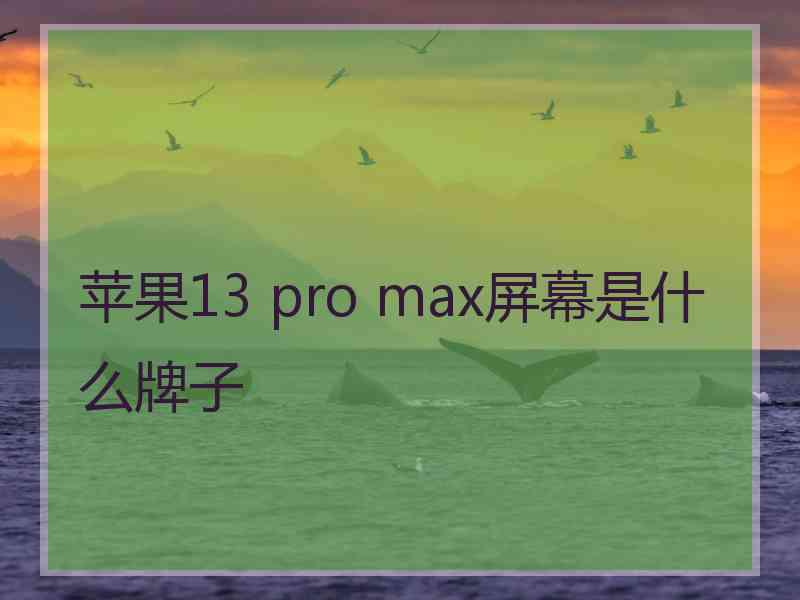 苹果13 pro max屏幕是什么牌子