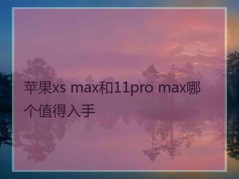 苹果xs max和11pro max哪个值得入手