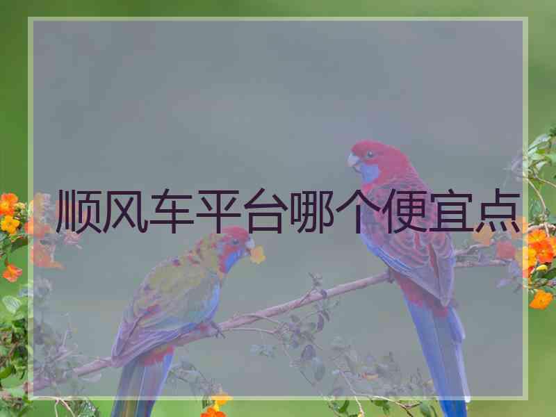 顺风车平台哪个便宜点