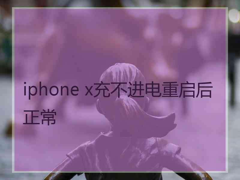 iphone x充不进电重启后正常