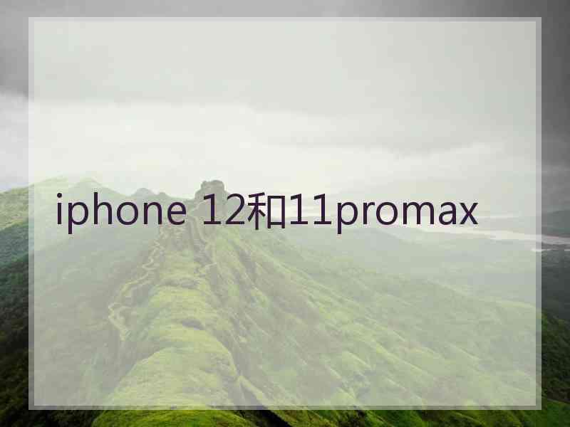 iphone 12和11promax