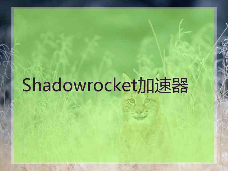 Shadowrocket加速器