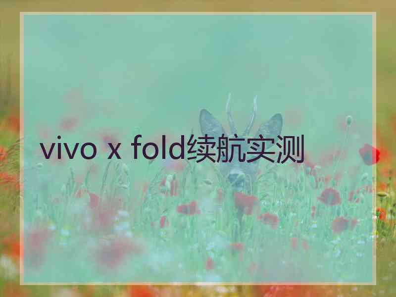 vivo x fold续航实测