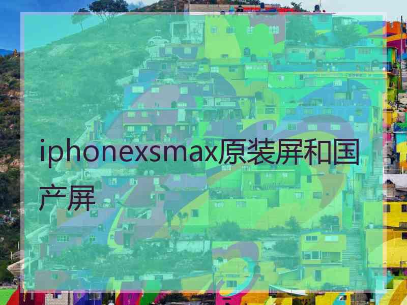 iphonexsmax原装屏和国产屏