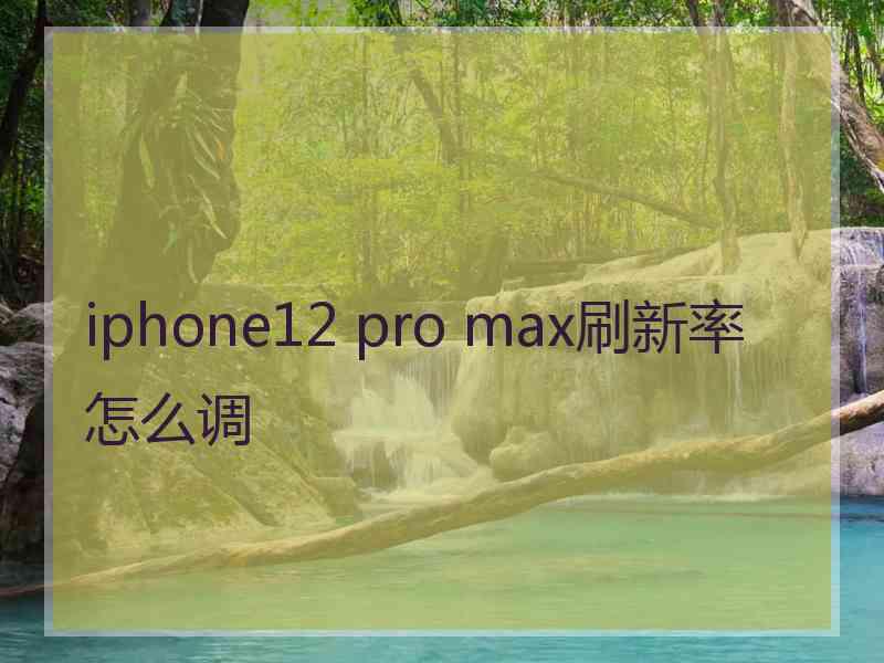 iphone12 pro max刷新率怎么调