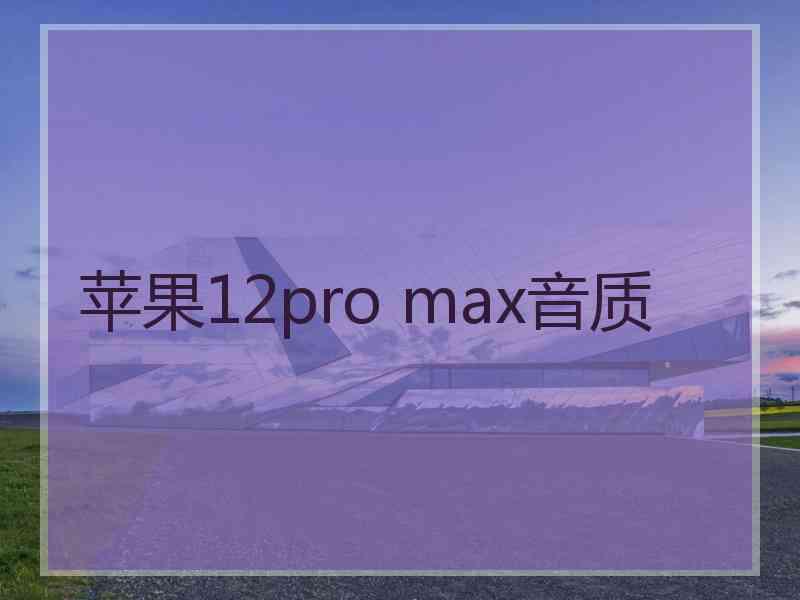 苹果12pro max音质