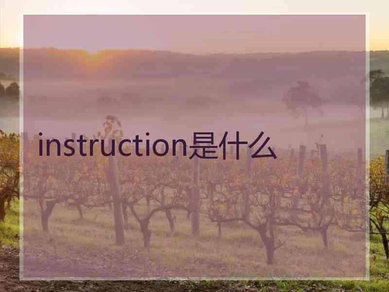 instruction是什么