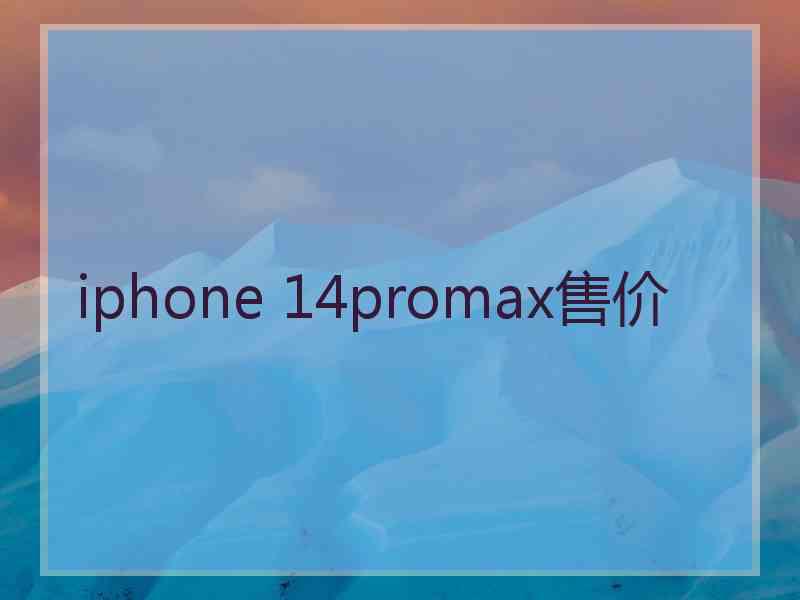 iphone 14promax售价