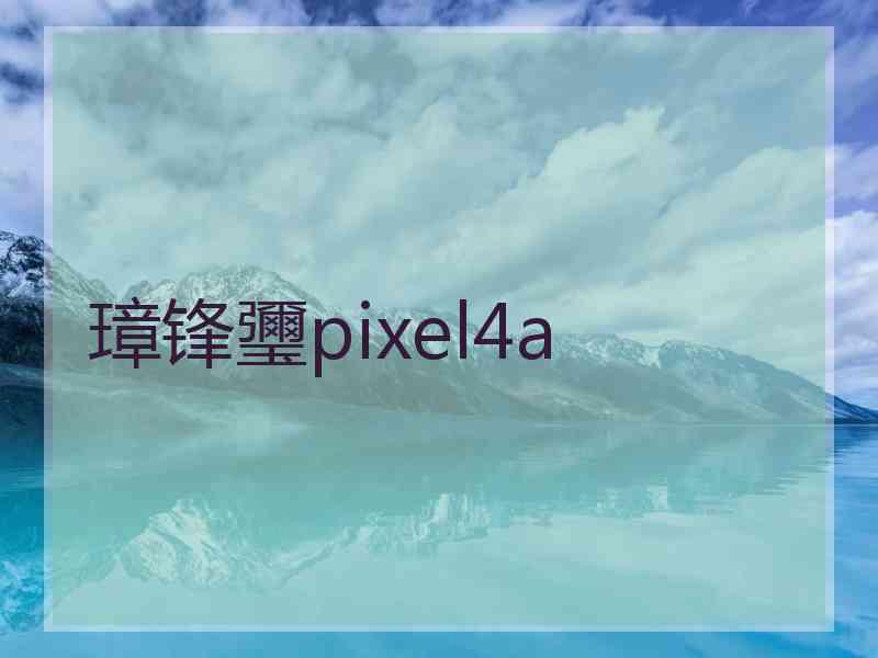 璋锋瓕pixel4a