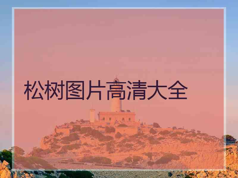 松树图片高清大全