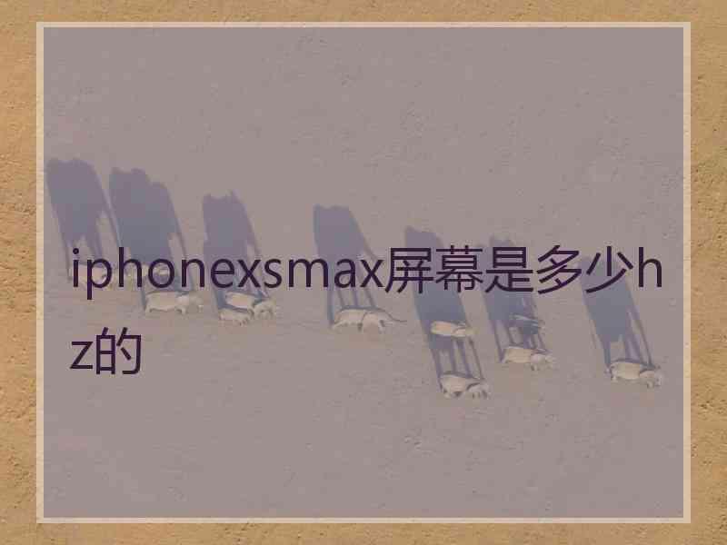 iphonexsmax屏幕是多少hz的