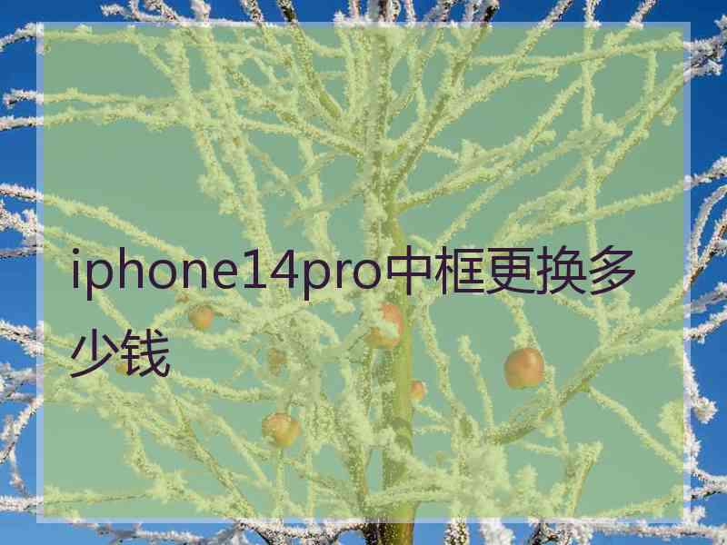 iphone14pro中框更换多少钱