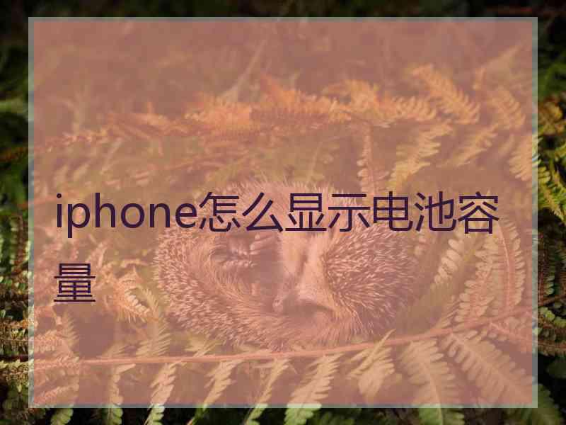 iphone怎么显示电池容量