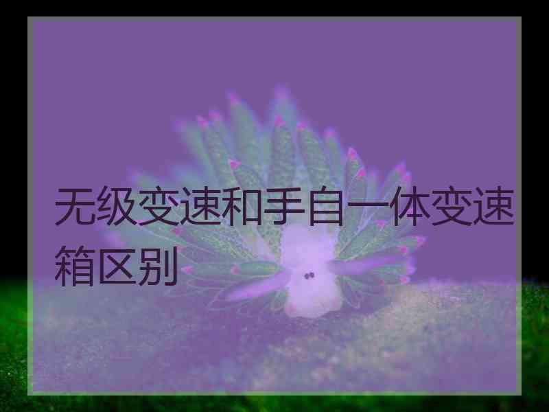 无级变速和手自一体变速箱区别