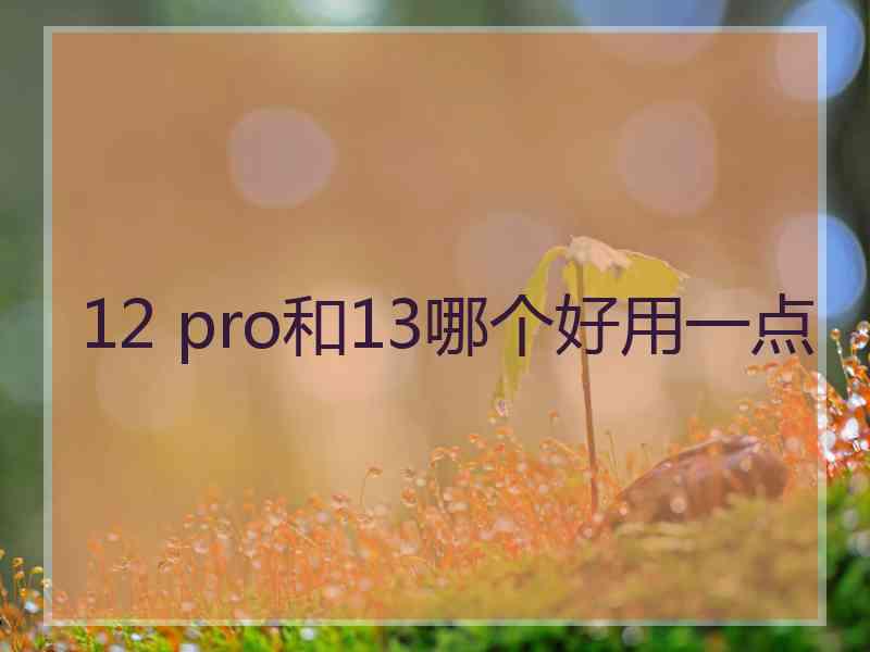 12 pro和13哪个好用一点