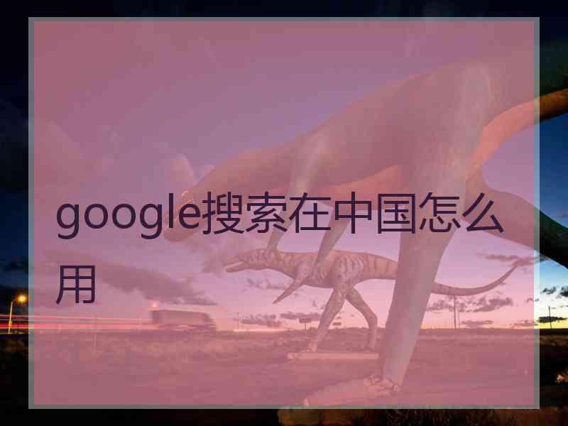 google搜索在中国怎么用