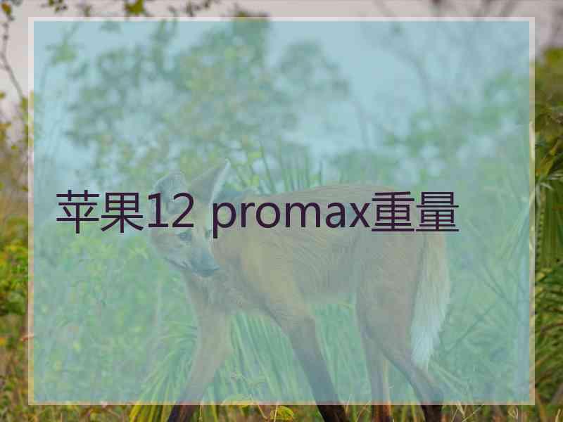 苹果12 promax重量