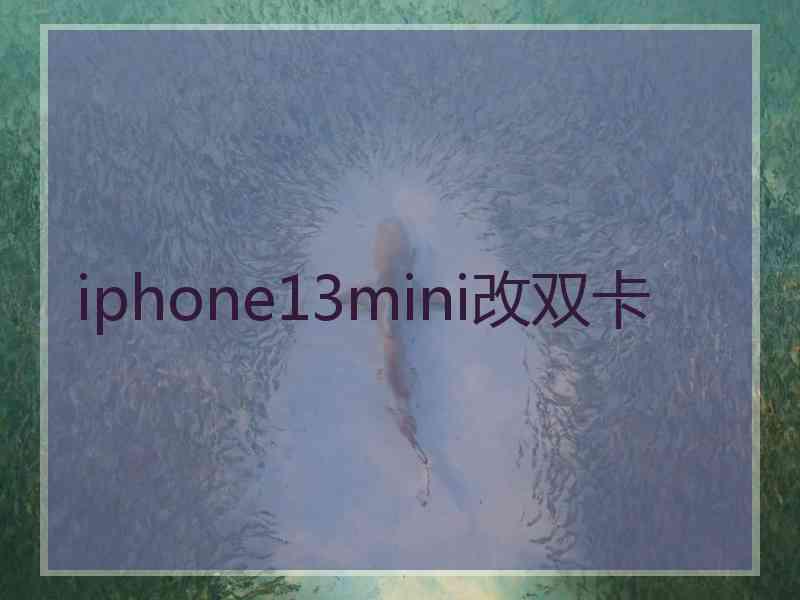 iphone13mini改双卡