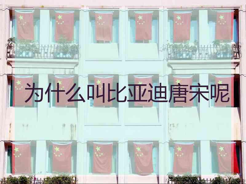 为什么叫比亚迪唐宋呢