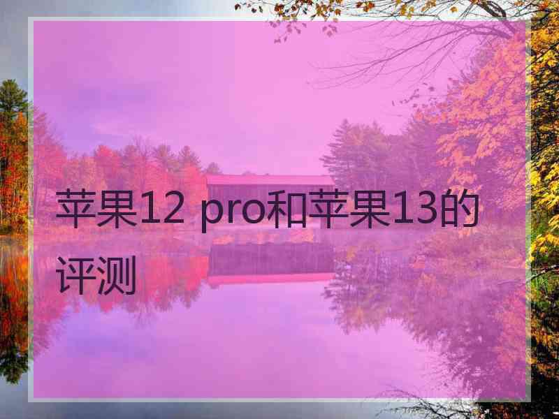 苹果12 pro和苹果13的评测