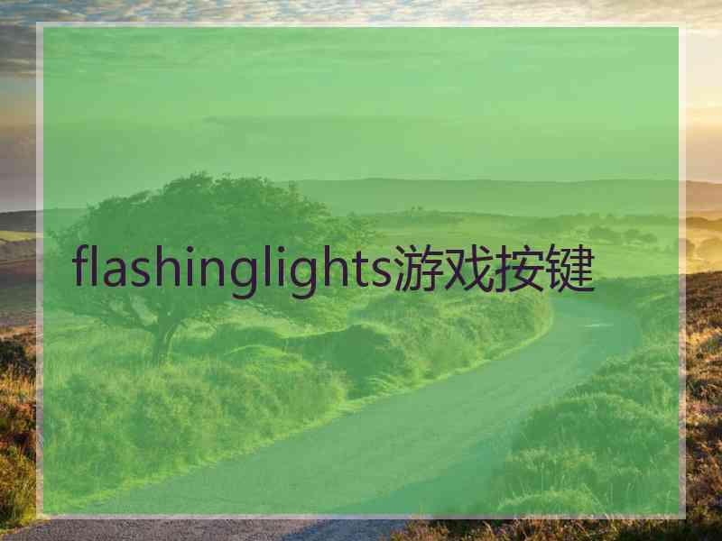 flashinglights游戏按键