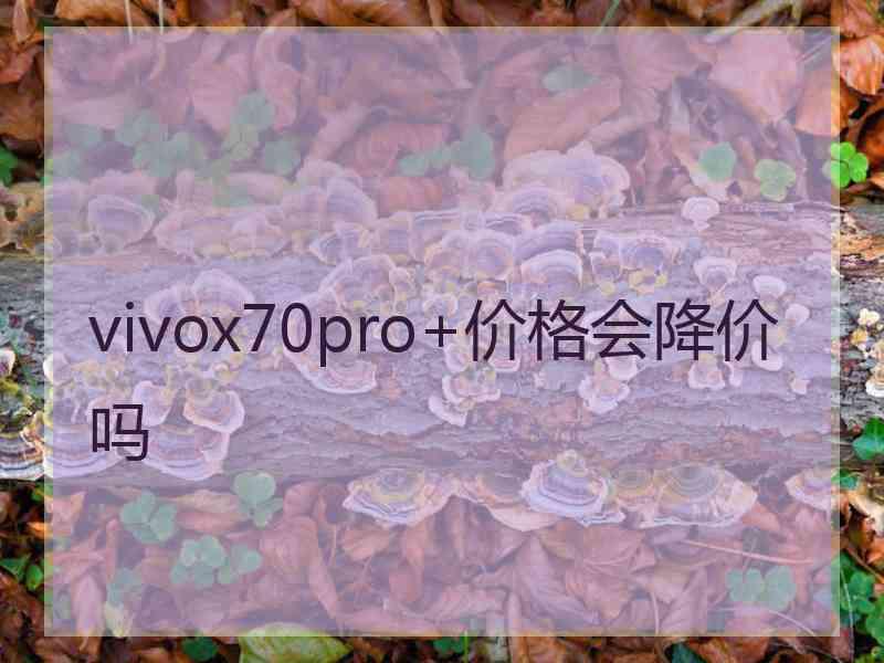 vivox70pro+价格会降价吗