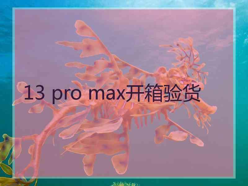 13 pro max开箱验货