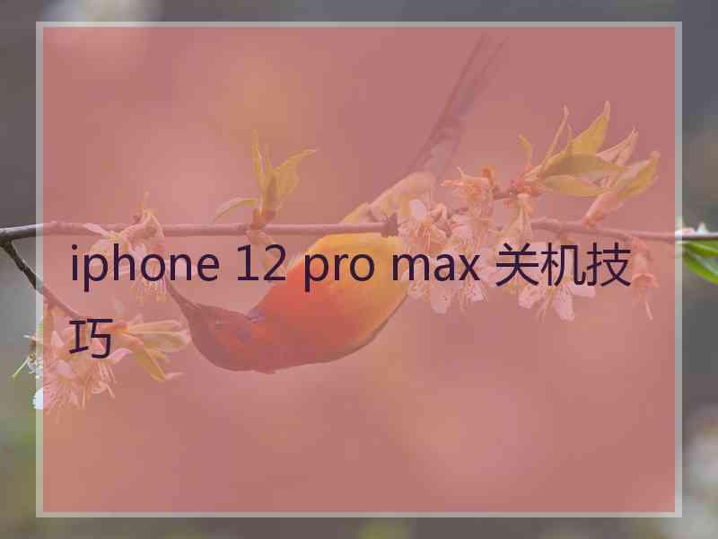 iphone 12 pro max 关机技巧