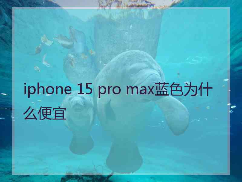 iphone 15 pro max蓝色为什么便宜