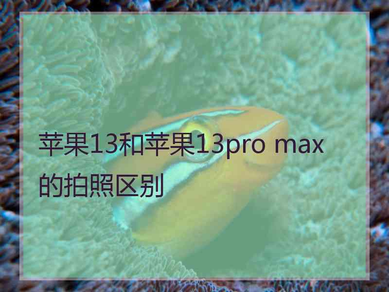 苹果13和苹果13pro max的拍照区别