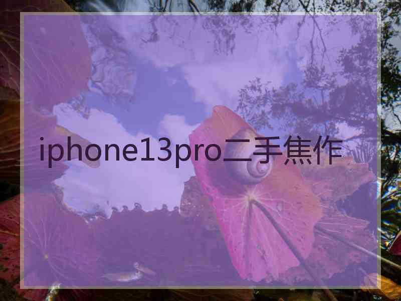 iphone13pro二手焦作