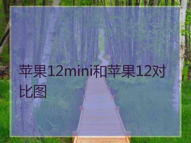 苹果12mini和苹果12对比图